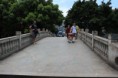 /album/galleria-fotografica/img-0545-jpg1/