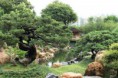 /album/hong-kong-26-27-lug-/img-0722-jpg/