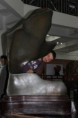 /album/guangzhou-zoo/img-0821-jpg/